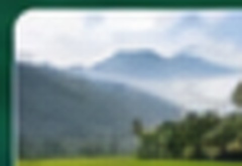 Galeri Desa 2